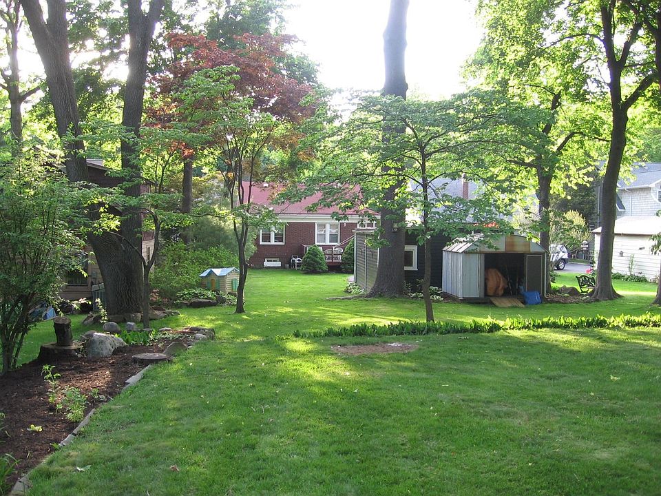 Park-Like Backyard