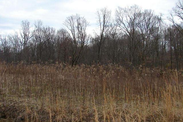 2nd image of 0 Tucky Ln Lot 15