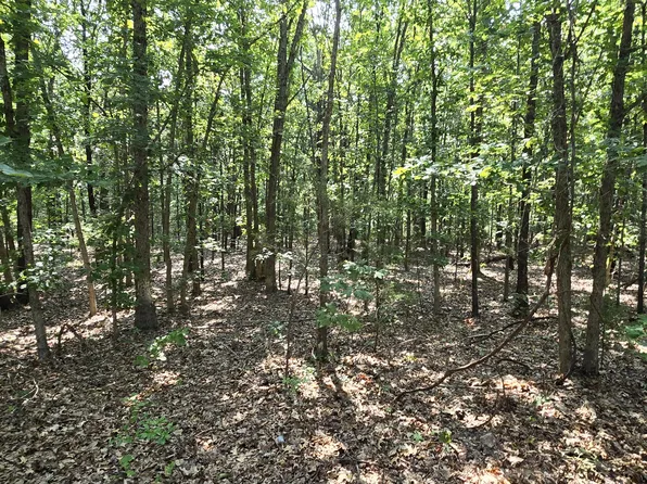 Tbd K Highway, Long Lane, MO 65590