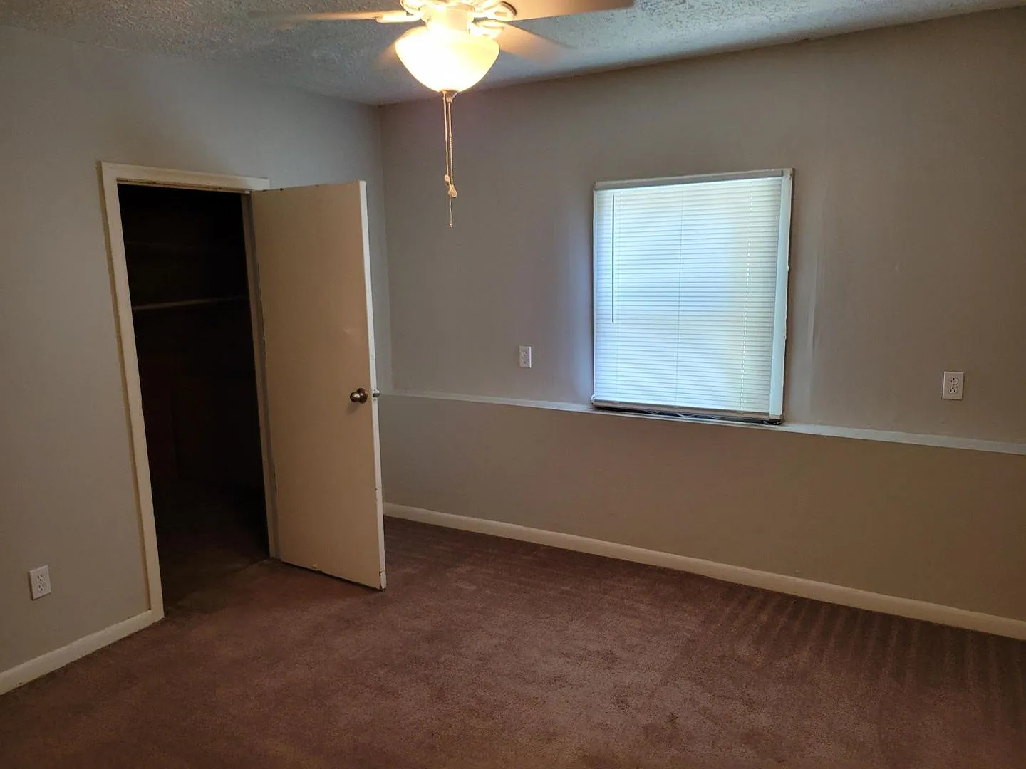 2 bed 1 bath house — Photo 3