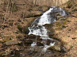 58 Twin Springs Trl #15, Hot Springs, NC 28743