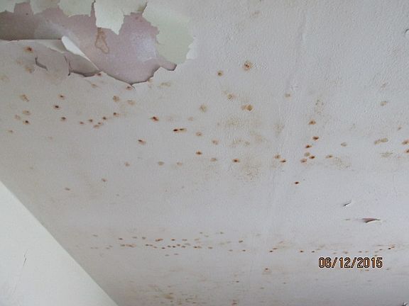 5th image of 821 Fieldhouse Ave