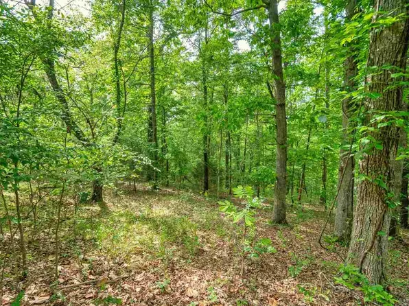 0 Clover Ridge Ct, Hot Springs National Park, AR 71913