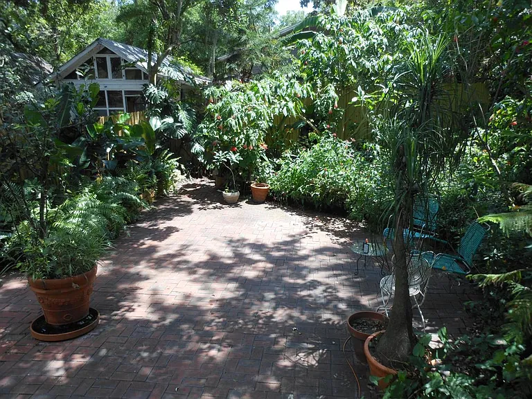 Back Yard Garden