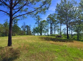 2553 Old River Rd, Fortson, GA 31808