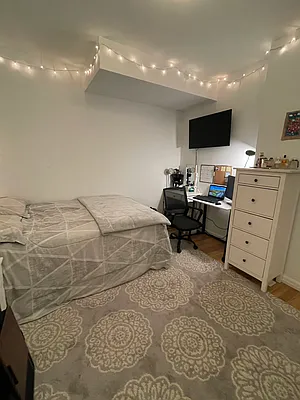 Rented by NY Living Solutions | media 32