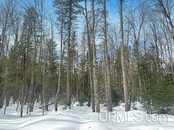 2nd image of LOT 7 W Tamarack Lake Rd