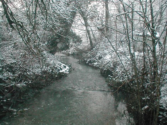 Seasonal creek.