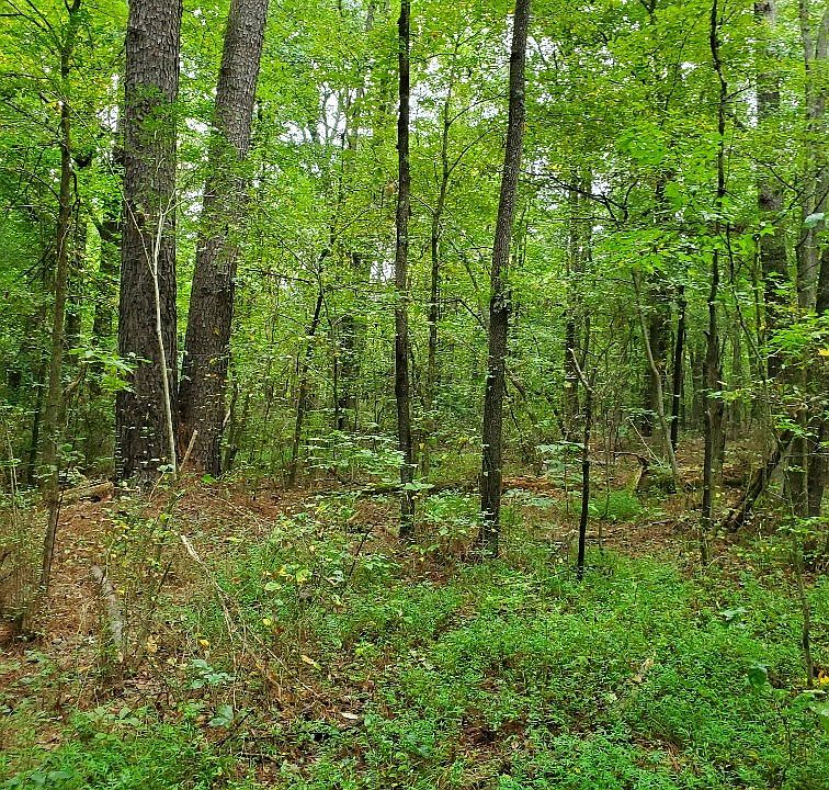 2nd image of 0 Jones Bend Rd