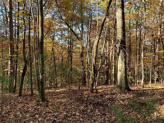 4th image of 9 Dover Falls Trl #9