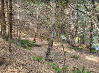 724 Wolverine Way, Whitethorn, CA 95589