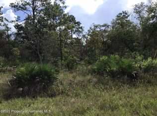 0 Parallel Rd, Weeki Wachee, FL 34614