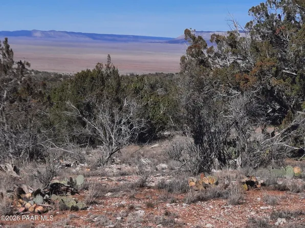 LOT 928 N Bridge Canyon Pkwy, Seligman, AZ 86337