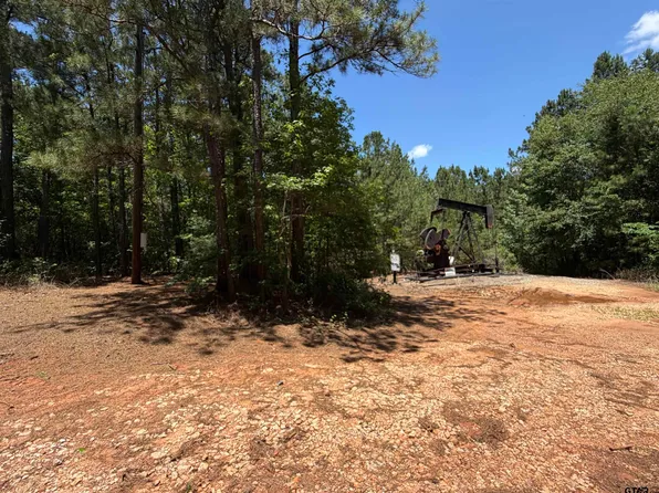 9018 W Highway 64, Overton, TX 75684