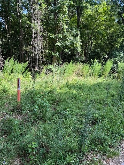 1st image of 344 Dupre Rd