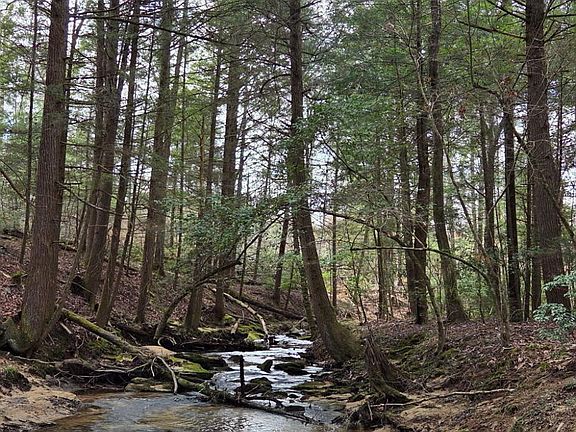 3rd image of Ernie Hurst Rd