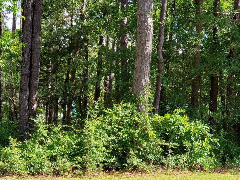 2nd image of 3854 Timber Stream Drive