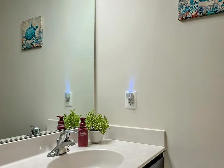 306 Buckeye Cir — Photo 53