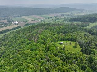 78 Lower Fairfield Rd, Newark Valley, NY 13811