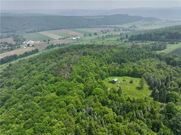 78 Lower Fairfield Rd, Newark Valley, NY 13811