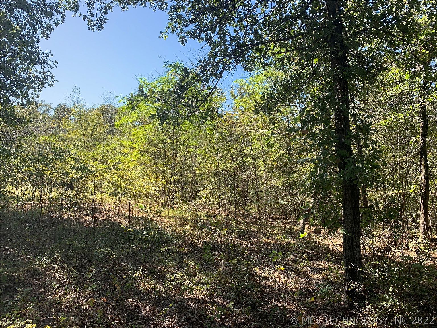 Twin Oaks Road, Atoka OK - photo 6