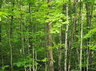 N Borrie Rd, Couderay, WI 54828