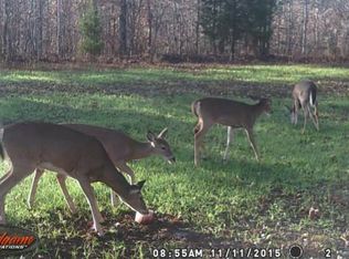 13 Old Highway 13, Hurricane Mills, TN 37078