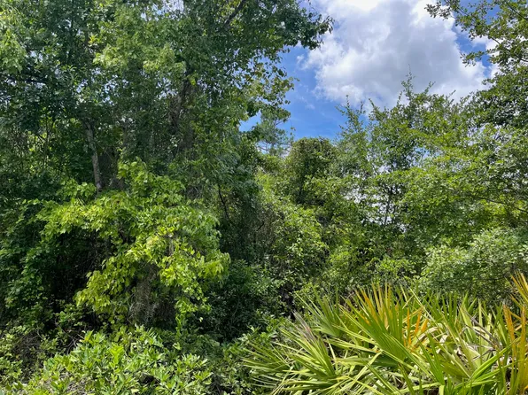 125 Carr Place, Satsuma, FL 32189