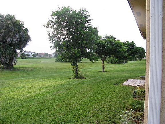 Backyard view