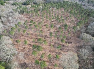 TRACT County Road 4037 #B, Timpson, TX 75975