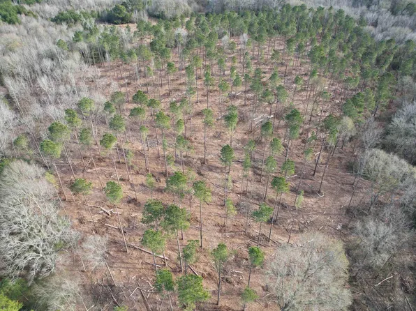 TRACT County Road 4037 #B, Timpson, TX 75975