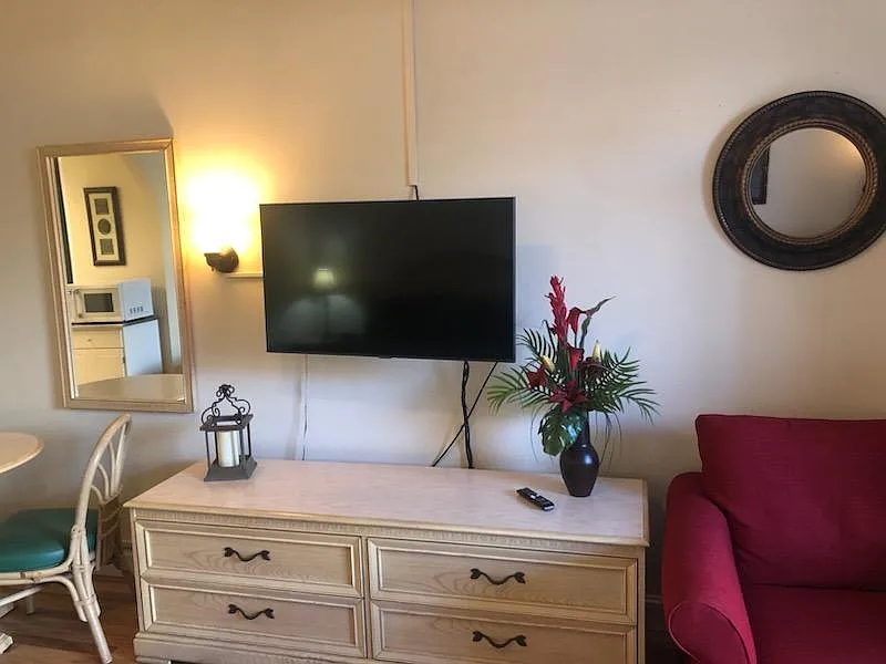 Studio, 438 sqft, $1,295 — Photo 4