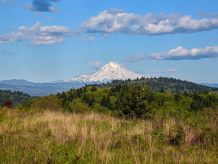 0.7 mile from Powell Butte Nature Park. Amazing view of Mount Hood.