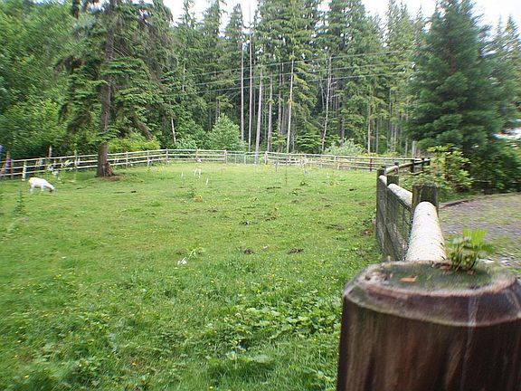 Fence For your Horses