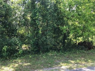 67 Douglas St, Homosassa, FL 34446