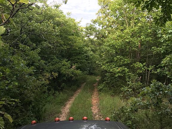 2nd image of US Hwy 65 #2-39-22