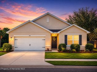 3942 Brandamore Pl, Spring Hill, FL 34609