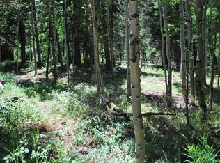 Aspen Rd LOT 32, La Veta, CO 81055