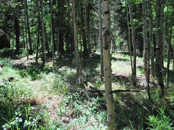Aspen Rd Lot 32, La Veta, CO 81055