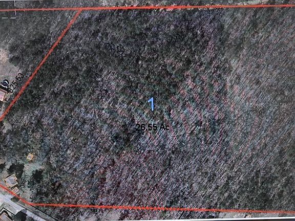 5th image of 911 County Road 478 #1