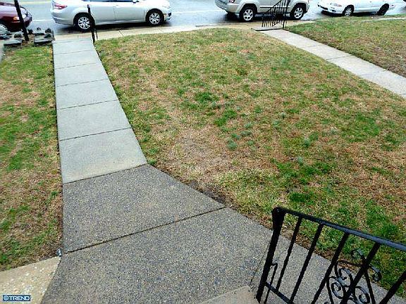 Front Yard