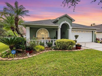 1932 Sean Wood Cir, Brandon, FL, 33510