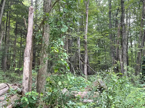 Old Reading Rd, Catawissa, PA 17820