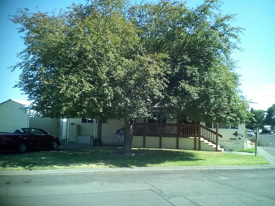 lots of shade