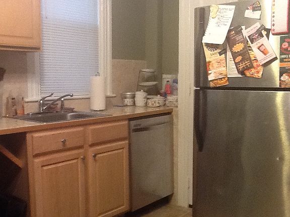 Stainless fridge and DW