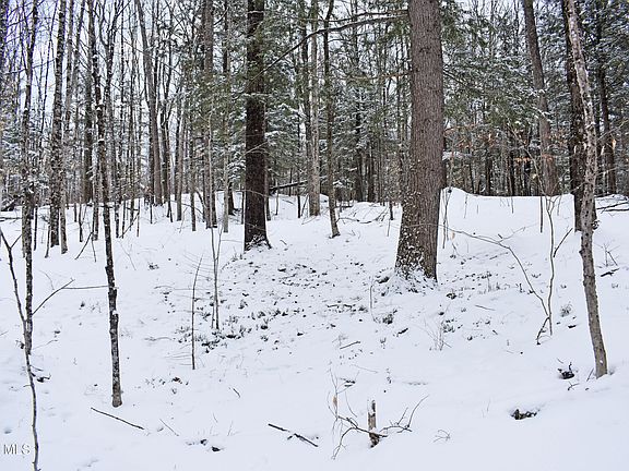 5th image of 62 Carriage Knolls Road