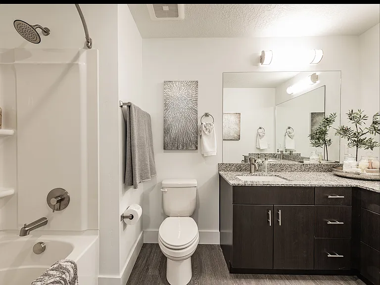Light and Large Master Bathroom