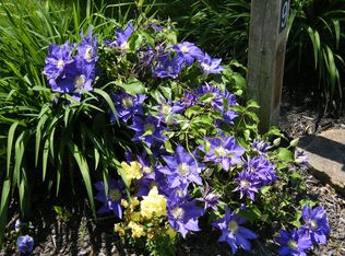 119 Birch Run Dr, Coatesville, PA 19320