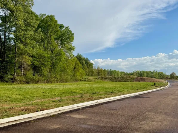 0 Plainview Dr Lot 4, Vicksburg, MS 39180