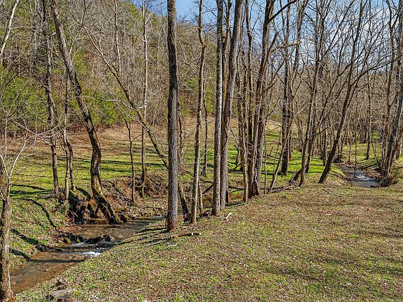 36th image of 3331 Adamson Branch Rd